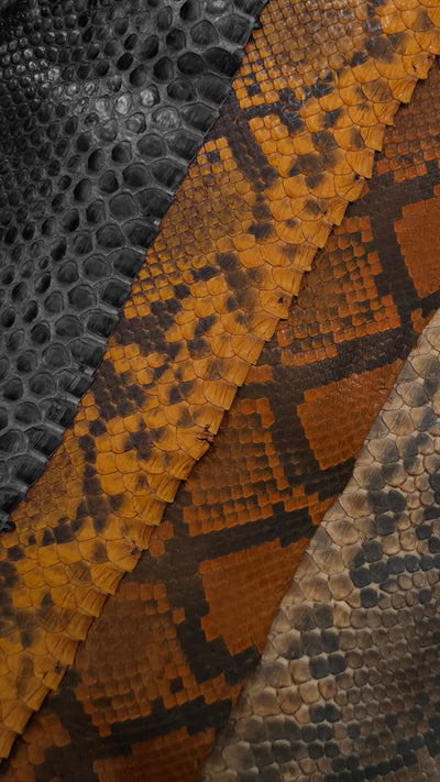 Snake Skin